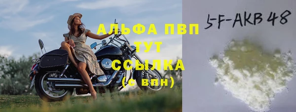 2c-b Новозыбков
