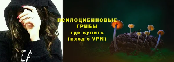2c-b Новозыбков