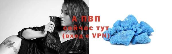 2c-b Новозыбков