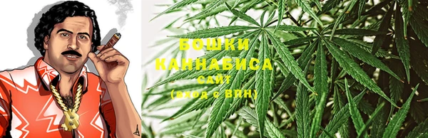 2c-b Новозыбков
