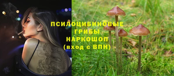 прущая мука Новодвинск