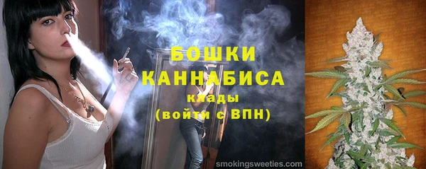 2c-b Новозыбков