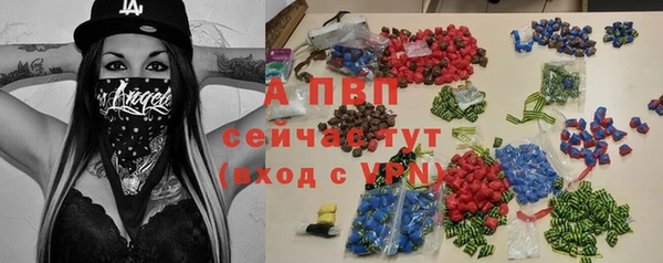 2c-b Новозыбков
