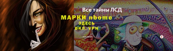 2c-b Новозыбков