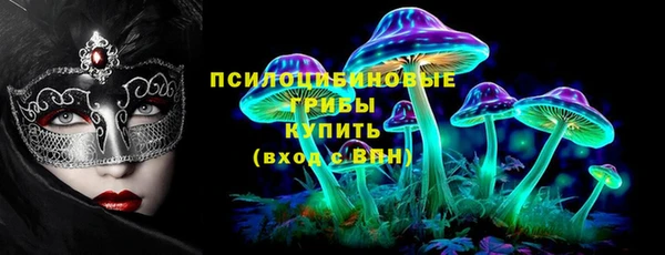 прущая мука Новодвинск