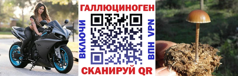 Псилоцибиновые грибы Magic Shrooms  Сельцо 